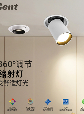 拉伸式射灯嵌入式伸缩可调节角度服装店展厅4500K客厅家用聚光灯