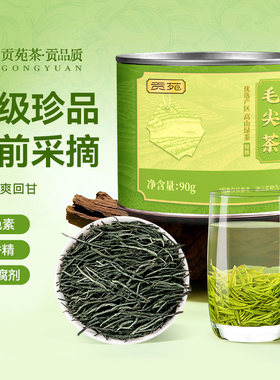 贡苑特级毛尖茶绿茶明前茶叶浓香口粮茶原产新茶泡水喝的饮品回甘