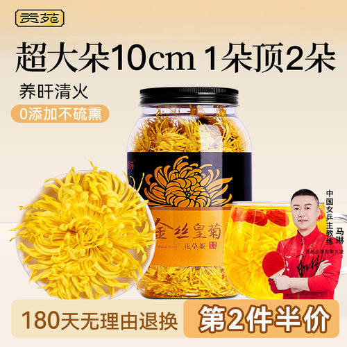 贡苑大朵菊花茶金丝皇菊一朵一杯