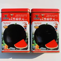 Черные семена битвы семена арбуза консервированные 50 г