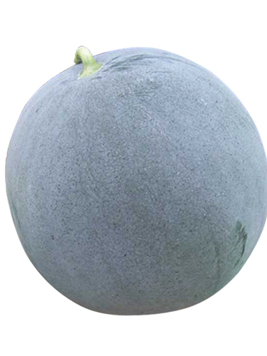 Тайваньский черный красавица арбуз