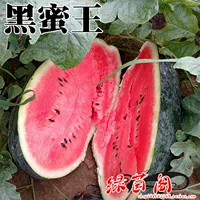 30 капсул черного меда короля семена арбуза