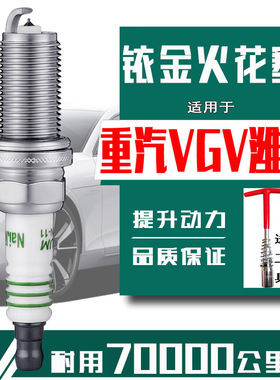 VGV潍柴U70火花塞中国重汽U75 u70PRO英致G3 G5 727 737汽车专用