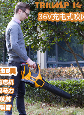 传峰工业吹风机大功率手提充电式吹叶机强力锂电吹灰机落叶鼓风机