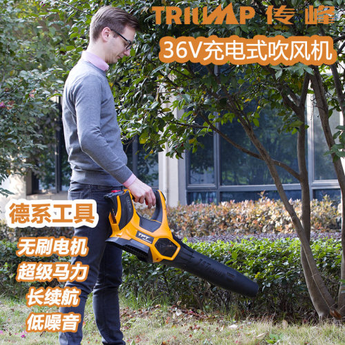 手提式电动吹风机价格 手提式电动吹风机图片 星期三