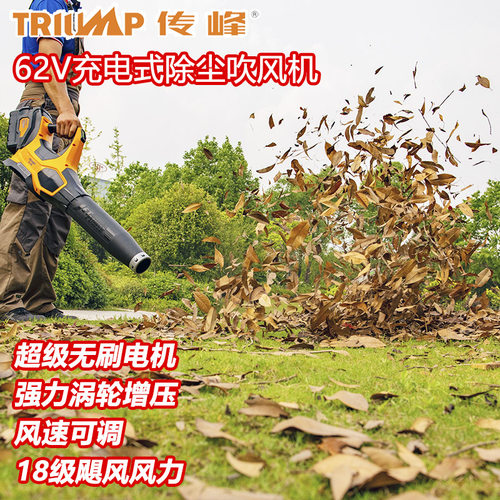 大功率充电式除尘器鼓风机吹树叶
