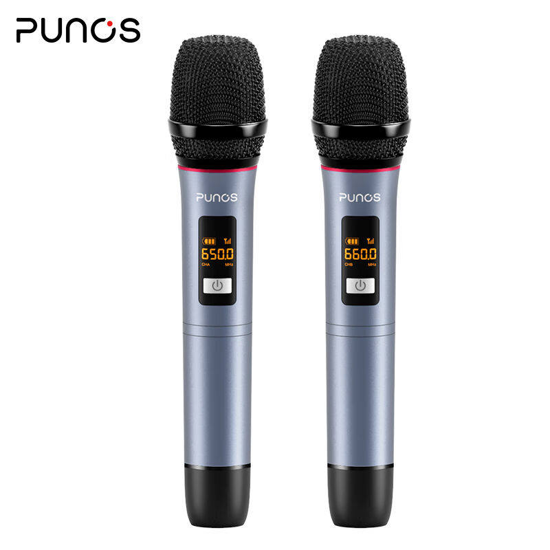 Punos（博浪沙）全新Ai智能语音点歌评分ktv音响套装3D环