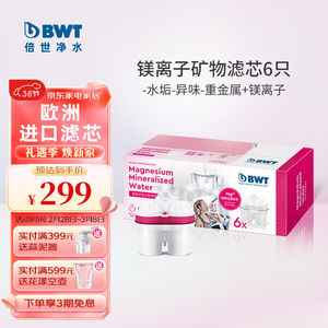 倍世（BWT）第4代镁离子活力款滤芯德国技术欧洲原装进口过滤净水