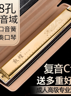 敦煌老品牌专业演奏级g调口琴