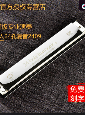 天鹅追梦人2409口琴复音24孔C调#A/B/D/E/F/G调口琴专业演奏乐器