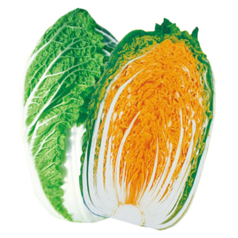 红心大白菜种子 丰产红心大白菜 四季播种阳台盆栽农家蔬菜种子