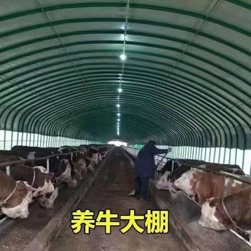 椭圆管圆管养殖大棚骨架全套养鸡棚猪棚牛棚羊棚鸭棚鹅棚保温暖棚 农机/农具/农膜 温室大棚支架 原图主图