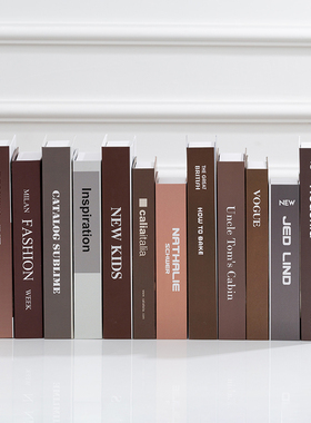 现代北欧摆件装饰仿真书道具创意