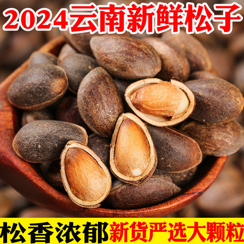 云南松子新鲜生松子落水松子孕妇零食散装坚果大颗粒原味整箱包邮