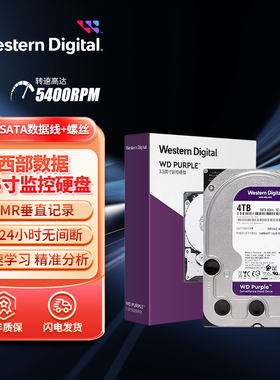 WD/西部数据紫盘1T/2T/4T/6T监控录像安防机械硬盘CMR垂直记录HDD