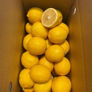 安岳新鲜黄柠檬商用奶茶店专用鲜果新鲜柠檬大箱装