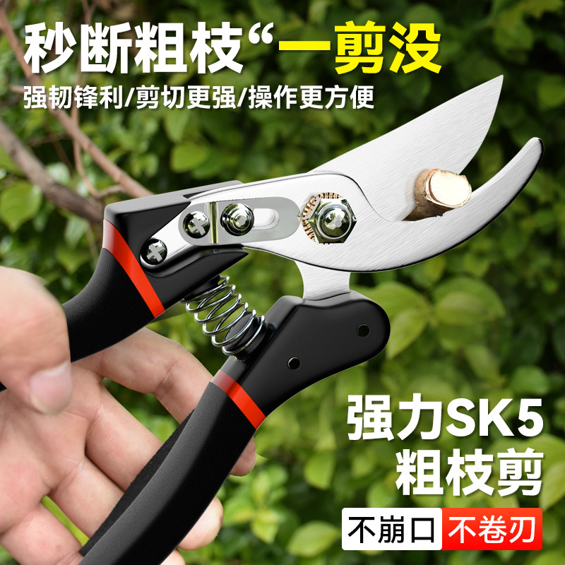 剪刀剪树枝修枝剪果树专用园艺剪