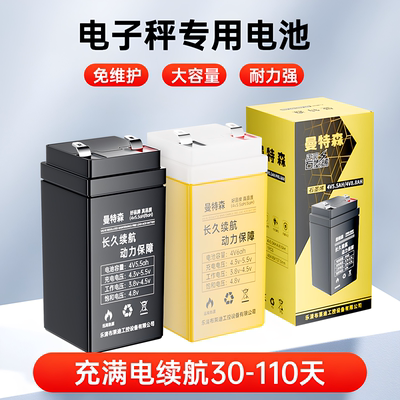 电子秤专用电池30/150/300公斤