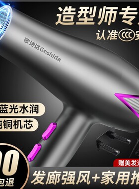 高速发廊电吹风机家用理发店大功