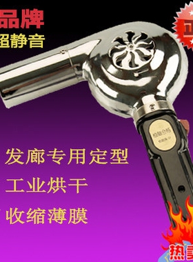 无声超静音定型电吹风机老式正万