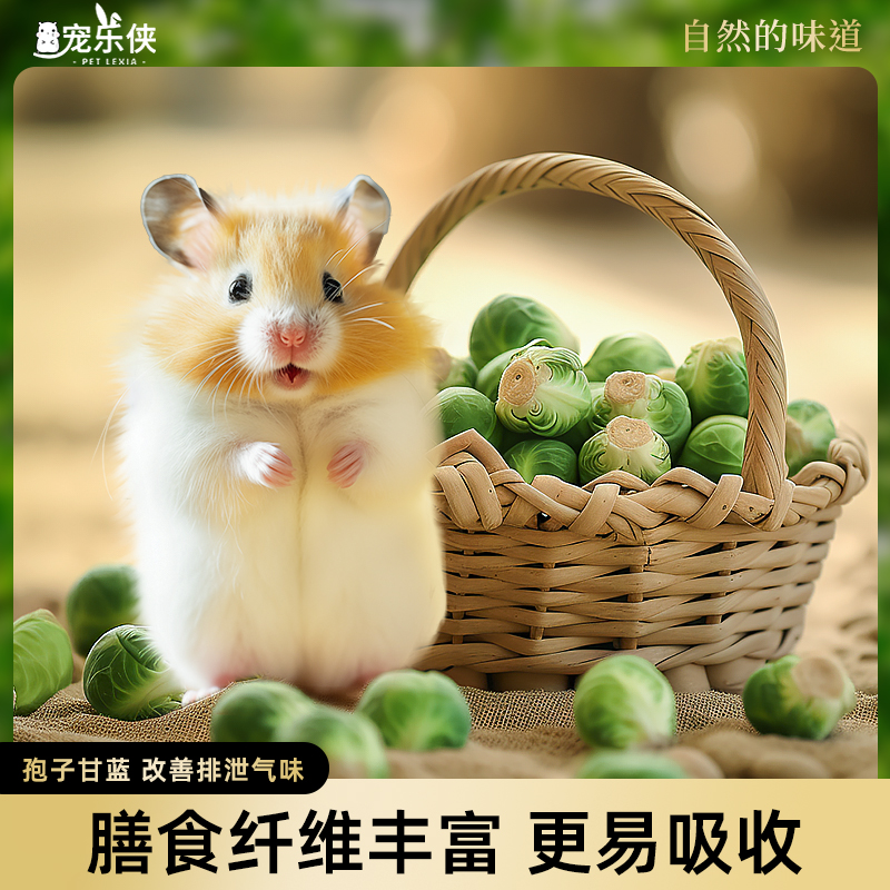 冻干孢子甘蓝仓鼠粮食金丝熊零食大礼包宠物蔬菜干兔子花枝鼠饲料