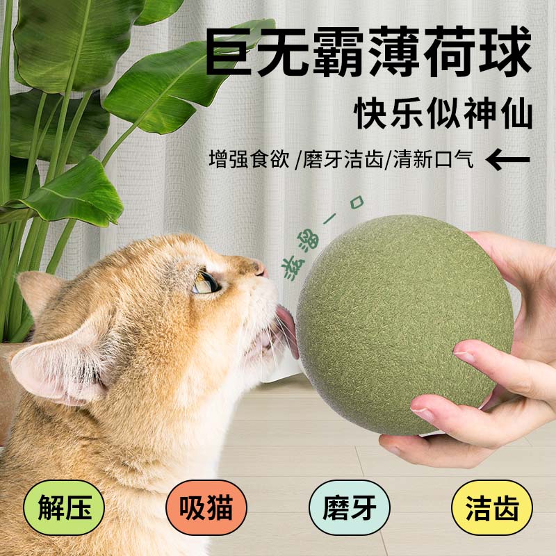 猫玩具猫薄荷球超大自嗨解闷神器猫猫小猫逗猫棒宠物猫咪用品磨牙 宠物/宠物食品及用品 猫薄荷/木天蓼 原图主图