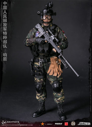 【现货】DAMTOYS DAM 78048 1/6 中国人民特种 响箭 可动人偶