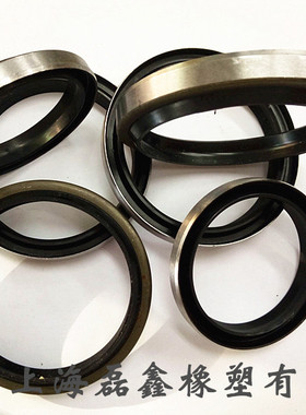 原装正品台湾品牌外铁壳防尘骨架油封DKB150*170*10/15