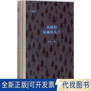正版全新风暴和风暴的儿子9787219104200王强广西人民出版社2017-11-01