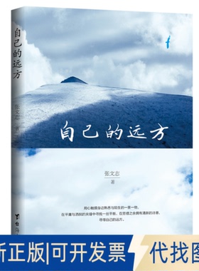 正版全新自己的远方9787516827369张文志台海出版社2020-09-01