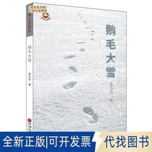 正版全新鹅毛大雪9787519030469宋方金中国文联出版社2017-09-01