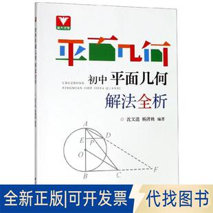 正版全新初中平面几何解法全析9787308193719沈文选浙江大学出版社2019-08-31