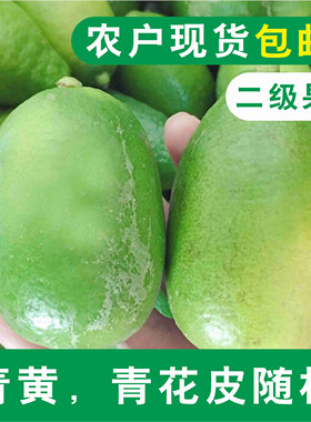 10斤包邮 海南香水柠檬 二级果（青黄，花皮）