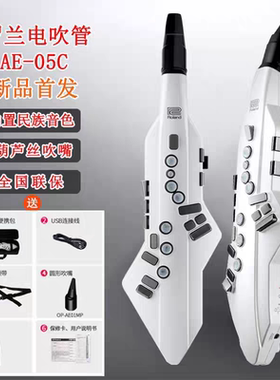 ROLAND罗兰电吹管AE05C AE05电萨克斯长笛唢呐二胡葫芦丝管乐器