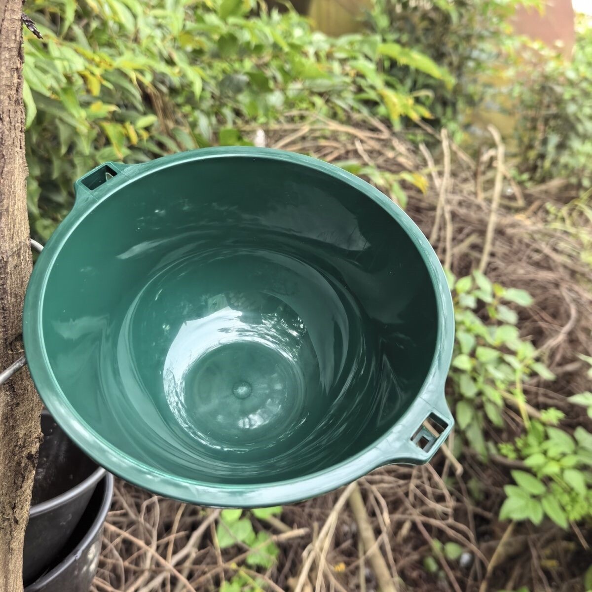 橡胶树专用割胶碗光滑不沾胶割胶碗源头厂割胶碗厂割胶神器。
