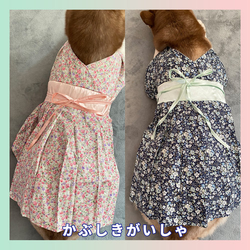 神明狗狗衣服bluetime/蓝时间