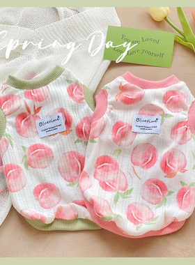 人间水蜜桃~宠物衣服春夏薄款泰迪夏装中型犬猫咪背心防掉毛纯棉