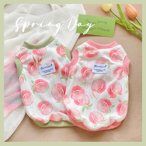 bluetime宠物棉夏季新款背心原创