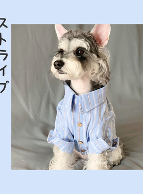 日杂男友衬衫秋季泰迪小奶狗衣服金毛大狗衬衫宠物猫咪衣服纯棉