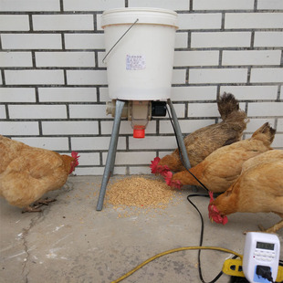 养鸡自动喂食器鸽子鸡鸭信鸽食槽定时全自动喂鸡神器鸽子用品用具