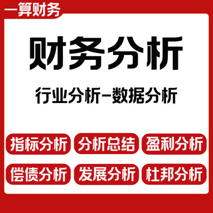 2026财务报表分析编制年度财务总结估值分析比率分析代做满意为止