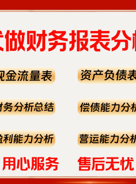 财务报表分析编制合并制作代做指标总结整理计算招标投标满意为止