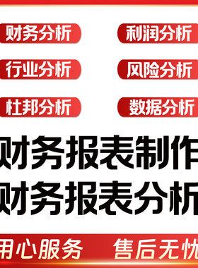 财务报表分析公司数据整理行业预算财务编制制作合并代做满意为止