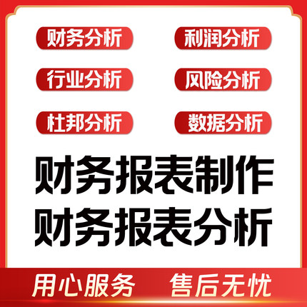 财务报表分析公司数据整理行业预算财务编制制作合并代做满意为止