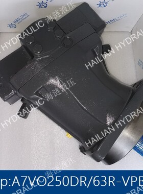 Hatch cover Pump A7VO250DR/63R-VPB02舱盖油泵
