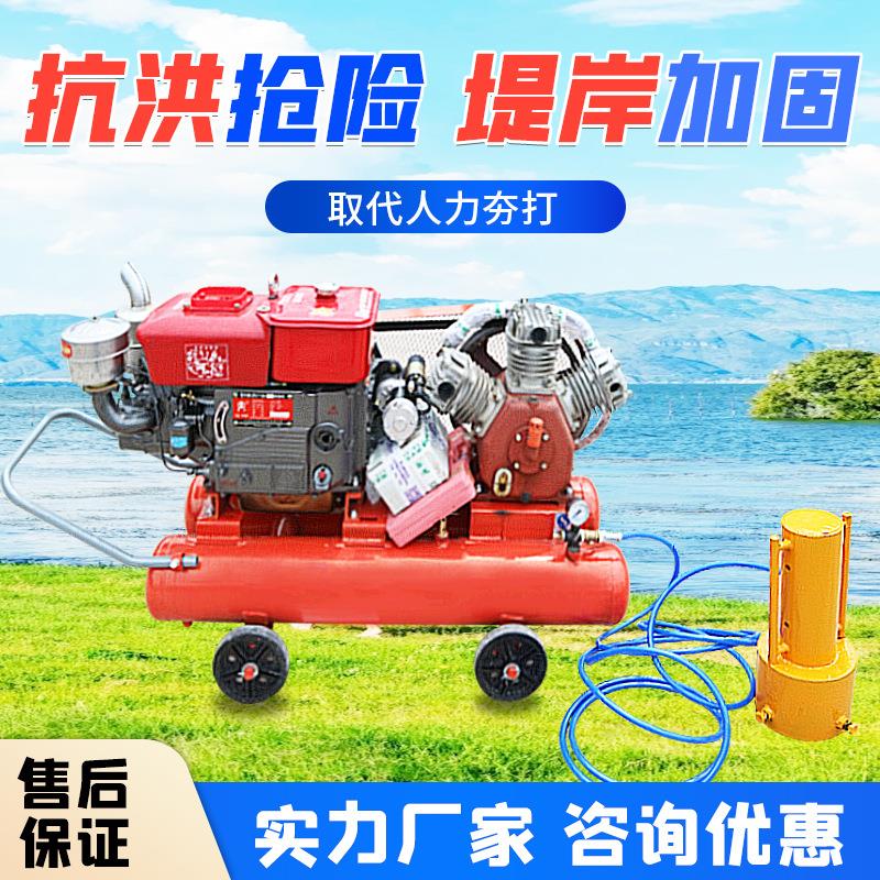 防汛植桩机手持气动打桩机便携式植桩机柴油防汛打桩机