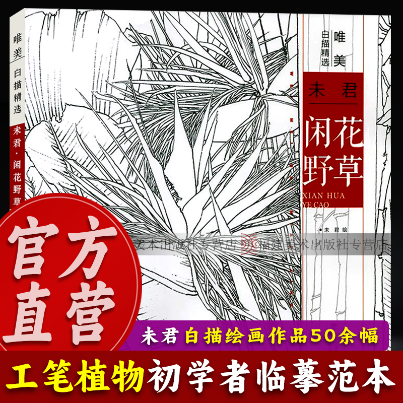 唯美白描精选：未君闲花野草 工笔画花卉技法白描底稿勾线稿毛笔画谱国画 中国现代花卉画作绘画教程初学者临摹范本画册正版图书籍