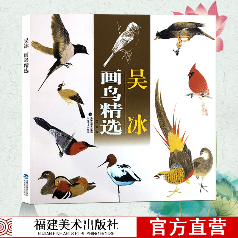 吴冰画鸟精选 中国画白描技法国画入门基础教程书写意水墨画鸟册页 工