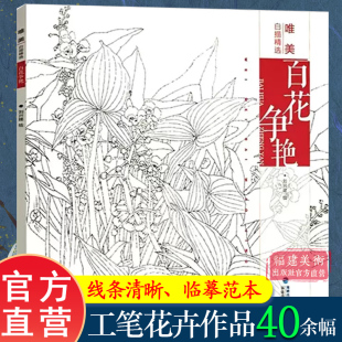 唯美白描精选 百花争艳 工笔画花卉技法白描底稿勾线稿毛笔画谱国画初学者临摹范本画册 刘兴建绘画教程书籍 中国现代花卉画作品集