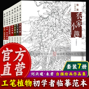 唯美白描精选全套7册 刘兴建未君绘画教程图书籍现代花卉画作品集 工笔画花卉技法白描底稿勾线稿毛笔画谱国画初学者临摹范本画册